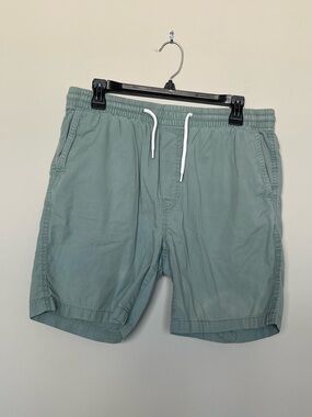 Men's Casual Drawstring Shorts in Sage Green